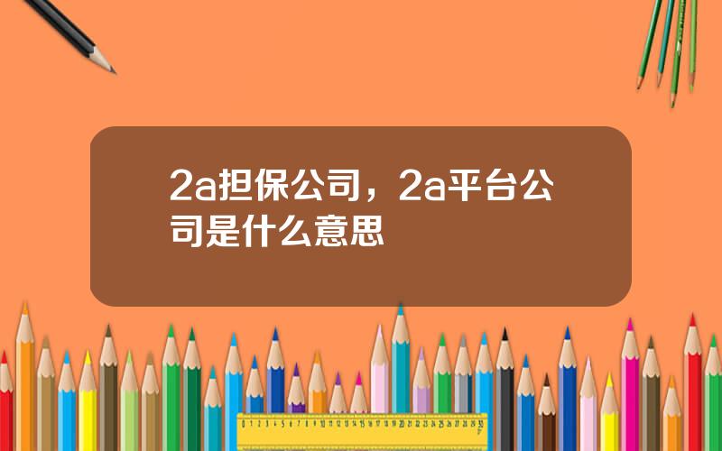 2a担保公司，2a平台公司是什么意思