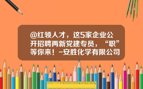 @红领人才，这5家企业公开招聘两新党建专员，“职”等你来！-安胜化学有限公司