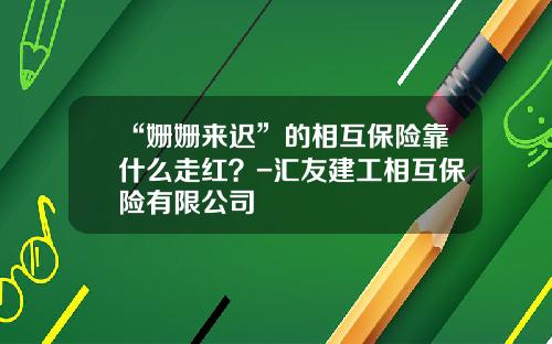 “姗姗来迟”的相互保险靠什么走红？-汇友建工相互保险有限公司
