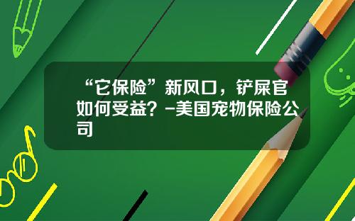 “它保险”新风口，铲屎官如何受益？-美国宠物保险公司