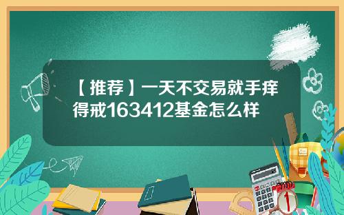 【推荐】一天不交易就手痒得戒163412基金怎么样