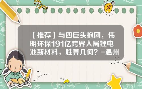 【推荐】与四巨头抱团，伟明环保191亿跨界入局锂电池新材料，胜算几何？-温州市伟明环保设备有限公司