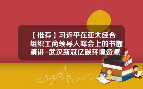【推荐】习近平在亚太经合组织工商领导人峰会上的书面演讲-武汉新冠亿碳环境资源开发股份有限公司