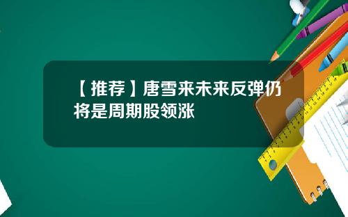 【推荐】唐雪来未来反弹仍将是周期股领涨