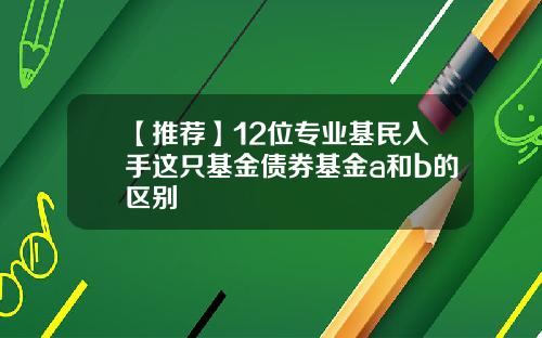 【推荐】12位专业基民入手这只基金债券基金a和b的区别
