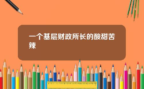 一个基层财政所长的酸甜苦辣