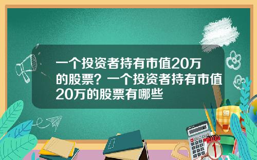 一个投资者持有市值20万的股票？一个投资者持有市值20万的股票有哪些