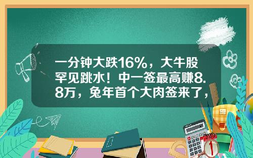 一分钟大跌16%，大牛股罕见跳水！中一签最高赚8.8万，兔年首个大肉签来了，年内新股半数股价翻倍-中资讯股票今日股价