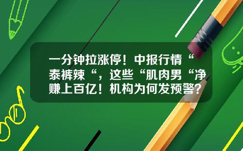 一分钟拉涨停！中报行情“泰裤辣“，这些“肌肉男“净赚上百亿！机构为何发预警？-林州重机工资多少