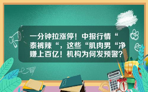 一分钟拉涨停！中报行情“泰裤辣“，这些“肌肉男“净赚上百亿！机构为何发预警？-股票涨停能赚多少