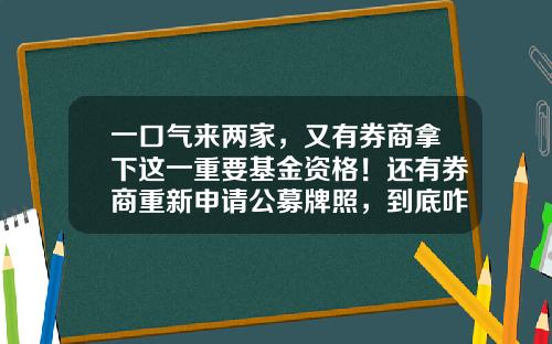 一口气来两家，又有券商拿下这一重要基金资格！还有券商重新申请公募牌照，到底咋回事？-基金公司牌照