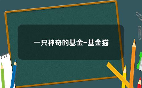 一只神奇的基金-基金猫