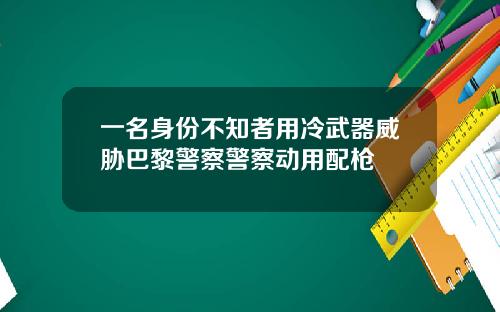 一名身份不知者用冷武器威胁巴黎警察警察动用配枪