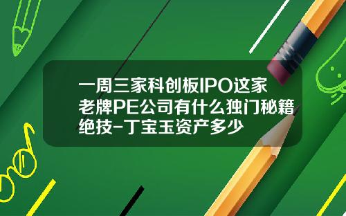 一周三家科创板IPO这家老牌PE公司有什么独门秘籍绝技-丁宝玉资产多少