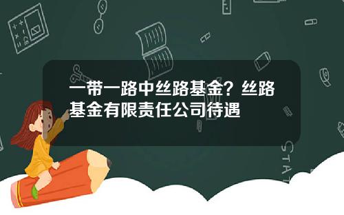 一带一路中丝路基金？丝路基金有限责任公司待遇