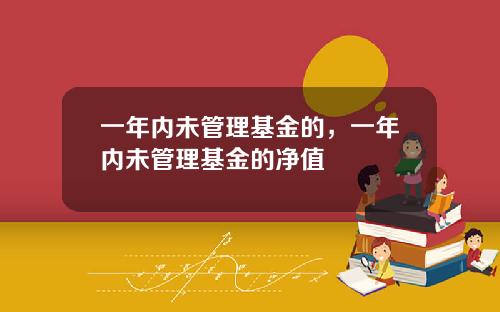 一年内未管理基金的，一年内未管理基金的净值