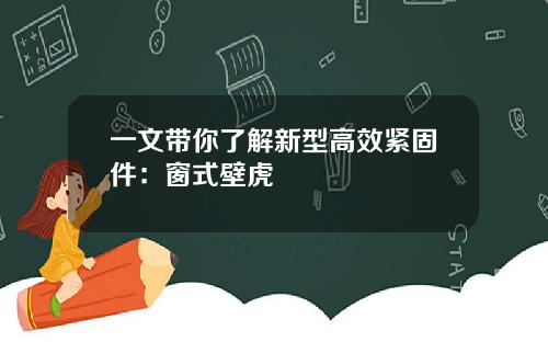 一文带你了解新型高效紧固件：窗式壁虎
