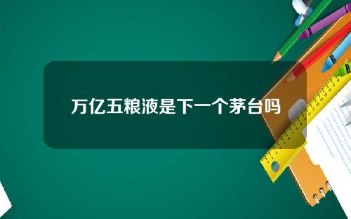 万亿五粮液是下一个茅台吗
