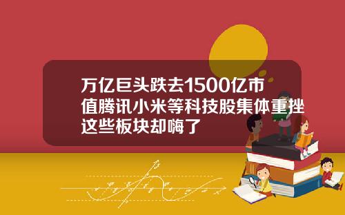 万亿巨头跌去1500亿市值腾讯小米等科技股集体重挫这些板块却嗨了