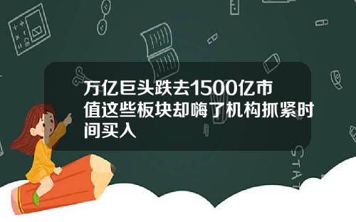 万亿巨头跌去1500亿市值这些板块却嗨了机构抓紧时间买入