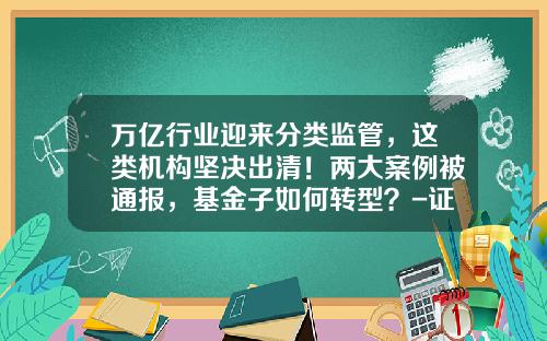 万亿行业迎来分类监管，这类机构坚决出清！两大案例被通报，基金子如何转型？-证监会基金部