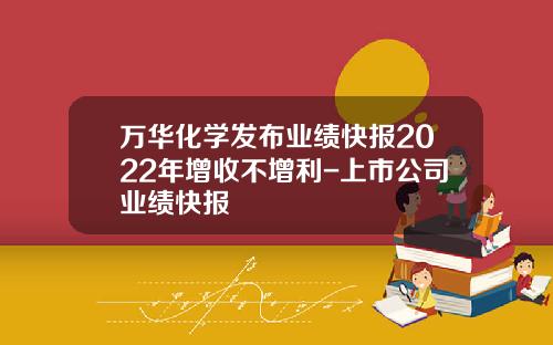万华化学发布业绩快报2022年增收不增利-上市公司业绩快报