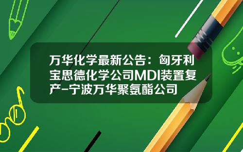 万华化学最新公告：匈牙利宝思德化学公司MDI装置复产-宁波万华聚氨酯公司