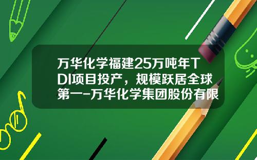 万华化学福建25万吨年TDI项目投产，规模跃居全球第一-万华化学集团股份有限公司