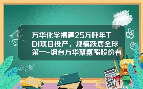 万华化学福建25万吨年TDI项目投产，规模跃居全球第一-烟台万华聚氨酯股份有限公司