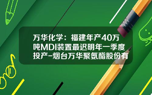 万华化学：福建年产40万吨MDI装置最迟明年一季度投产-烟台万华聚氨酯股份有限公司