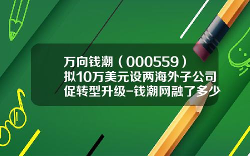 万向钱潮（000559）拟10万美元设两海外子公司促转型升级-钱潮网融了多少钱