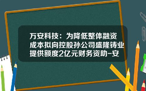 万安科技：为降低整体融资成本拟向控股孙公司盛隆铸业提供额度2亿元财务资助-安徽盛隆铸业有限公司概况