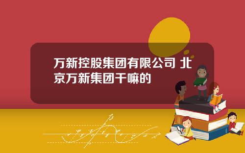 万新控股集团有限公司 北京万新集团干嘛的