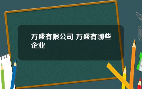 万盛有限公司 万盛有哪些企业