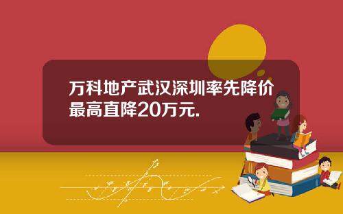 万科地产武汉深圳率先降价最高直降20万元.