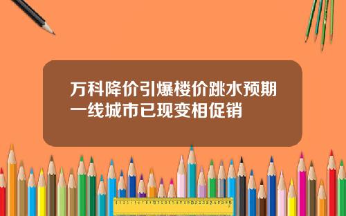 万科降价引爆楼价跳水预期一线城市已现变相促销