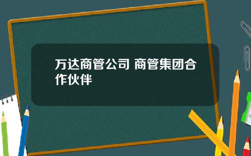 万达商管公司 商管集团合作伙伴