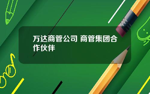 万达商管公司 商管集团合作伙伴