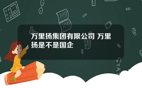 万里扬集团有限公司 万里扬是不是国企