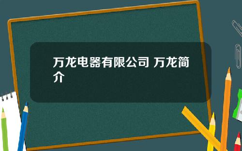 万龙电器有限公司 万龙简介