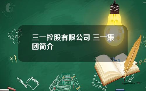 三一控股有限公司 三一集团简介