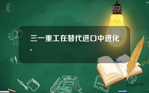三一重工在替代进口中进化.