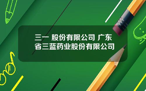三一 股份有限公司 广东省三蓝药业股份有限公司