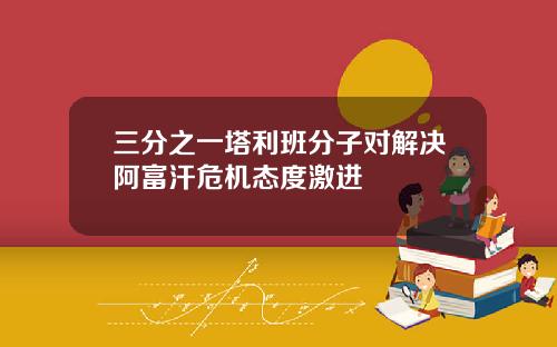 三分之一塔利班分子对解决阿富汗危机态度激进