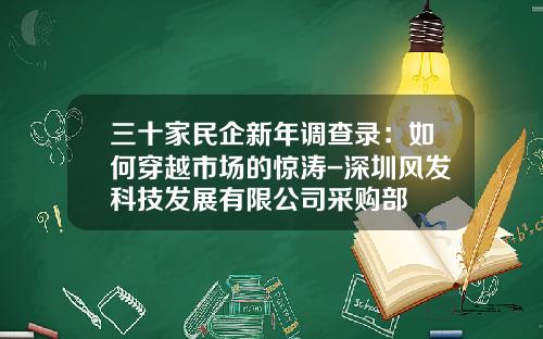 三十家民企新年调查录：如何穿越市场的惊涛-深圳风发科技发展有限公司采购部