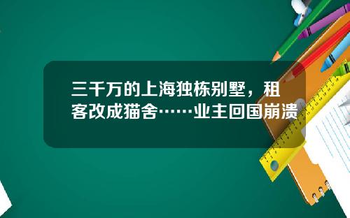 三千万的上海独栋别墅，租客改成猫舍……业主回国崩溃