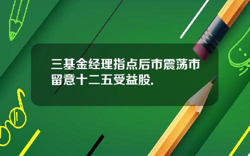 三基金经理指点后市震荡市留意十二五受益股.