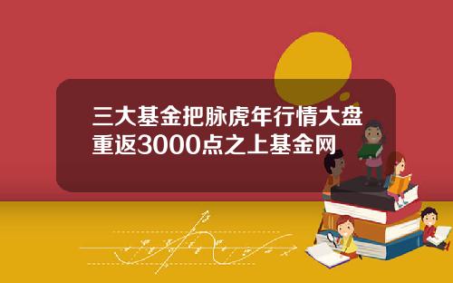 三大基金把脉虎年行情大盘重返3000点之上基金网