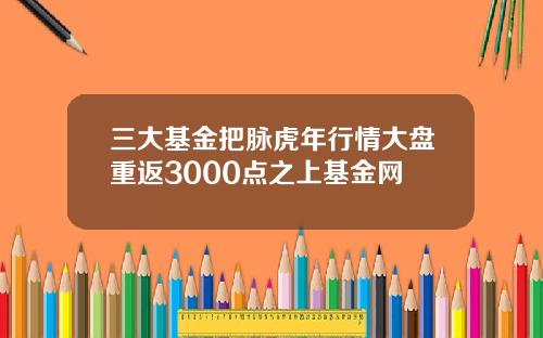三大基金把脉虎年行情大盘重返3000点之上基金网