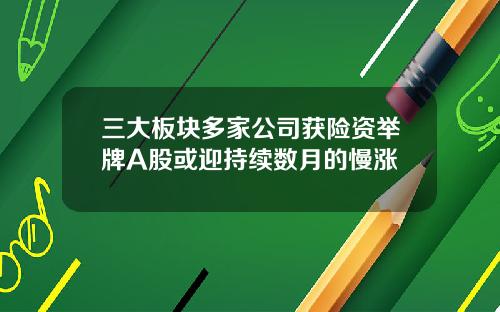 三大板块多家公司获险资举牌A股或迎持续数月的慢涨